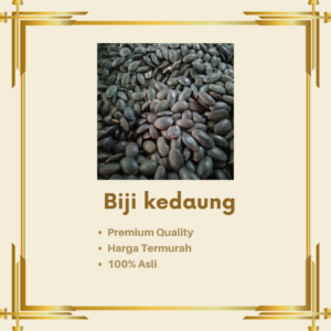Biji Kedaung 1 Kg