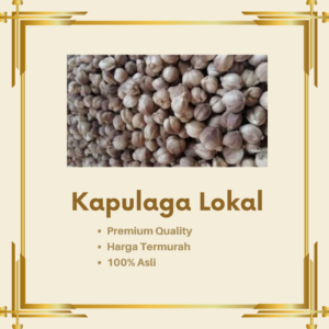 Kapulaga Lokal 100 gram