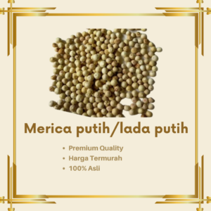 Merica Putih / Lada Putih 100 gram