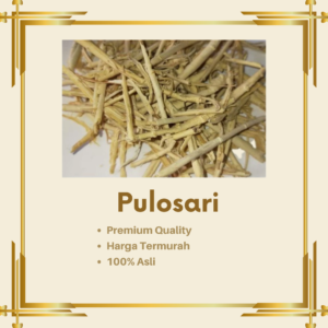 Pulosari Kering 100 gram